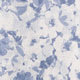 Larkspur